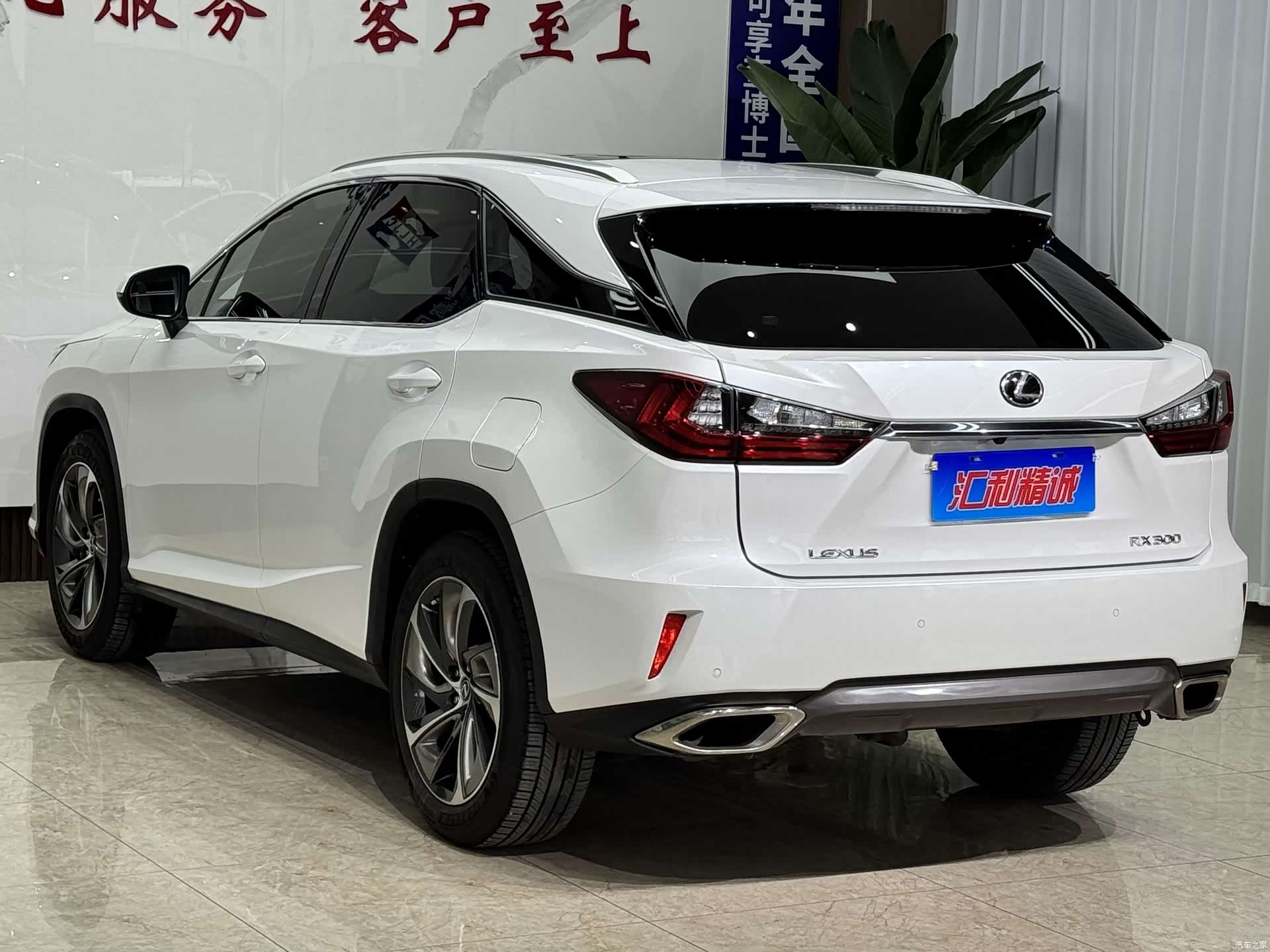 Lexus RX, 2019 6