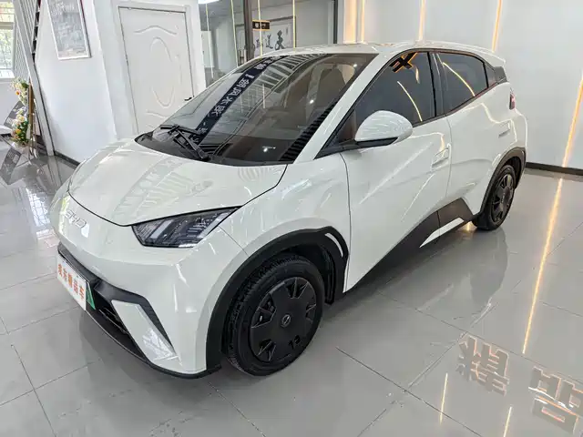BYD Seagull 2024 — купить из Китая под заказ