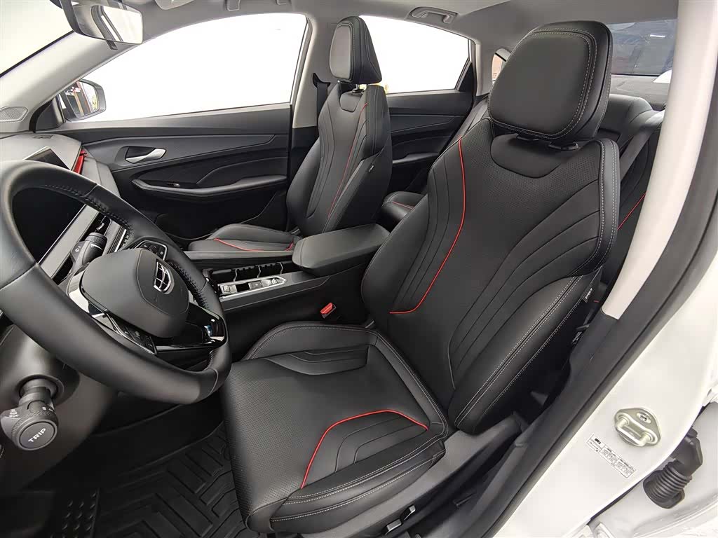 Geely Binray, 2024 8