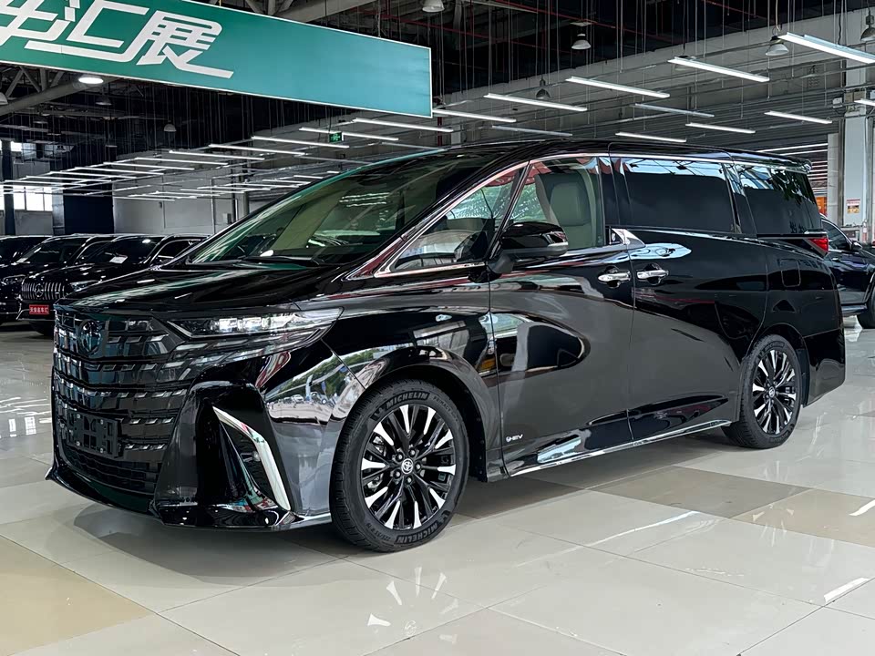 Toyota Elfa