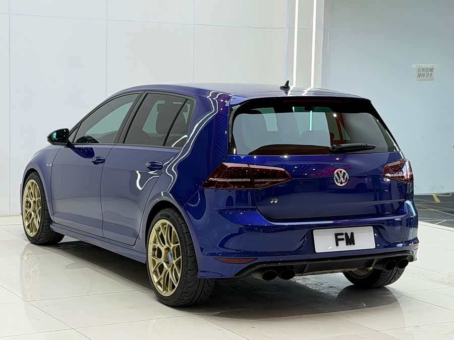 Volkswagen Golf 2016, фото 11