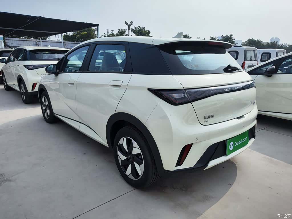 BYD Dolphin, 2026 все фото