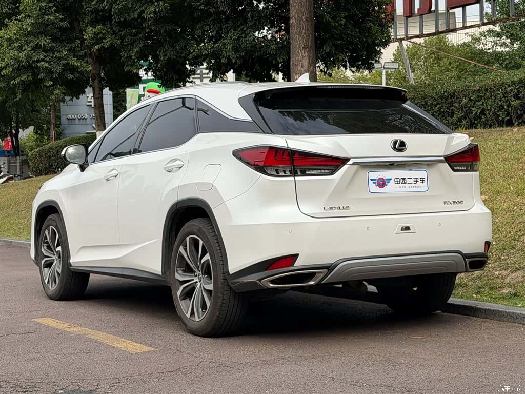 Lexus RX, 2020 4