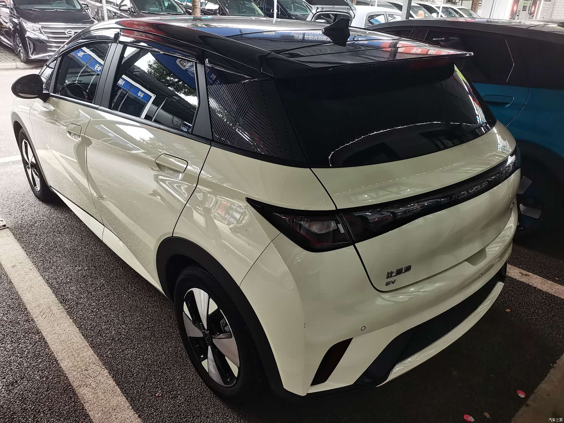 BYD Dolphin, 2023 9