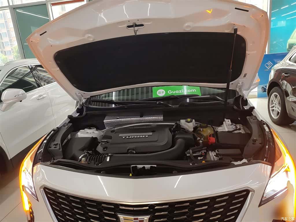 Cadillac XT4, 2019 20