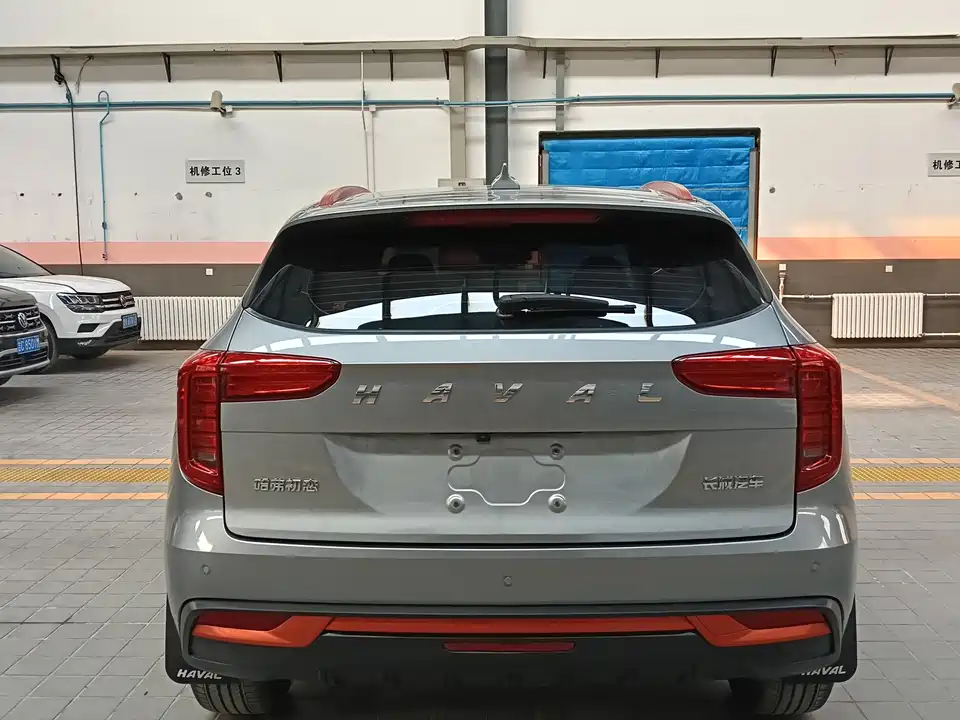 Haval First love