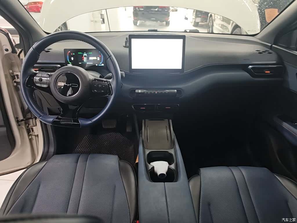 BYD Seagull, 2024 10