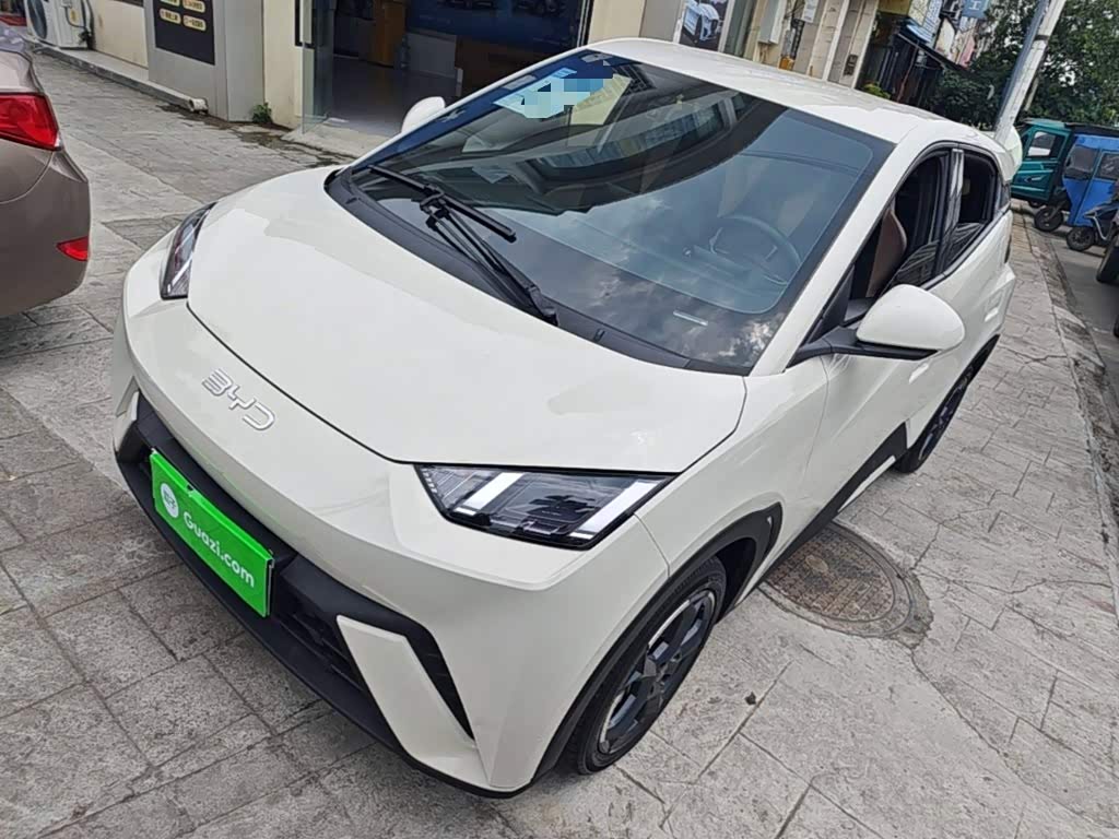 BYD Seagull