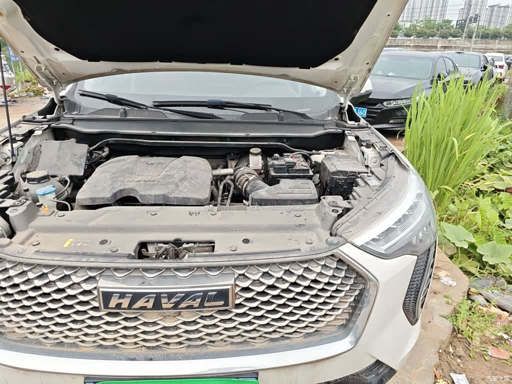 Haval First Love, 2021 23