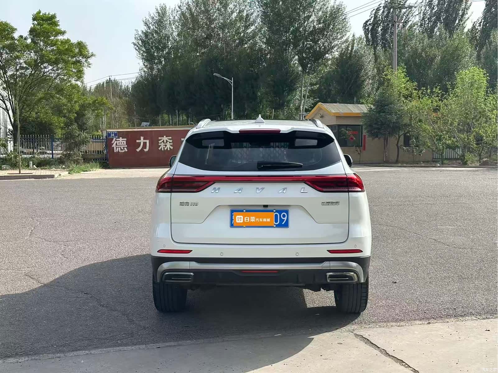 Haval H6, 2024 все фото