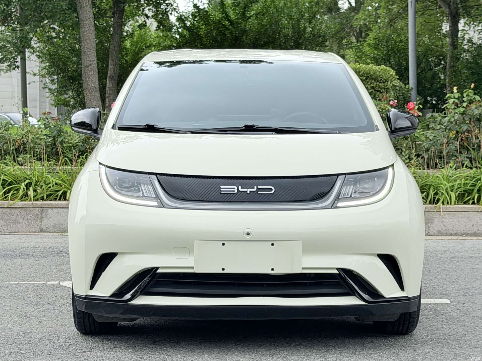 BYD Dolphin, 2023 2