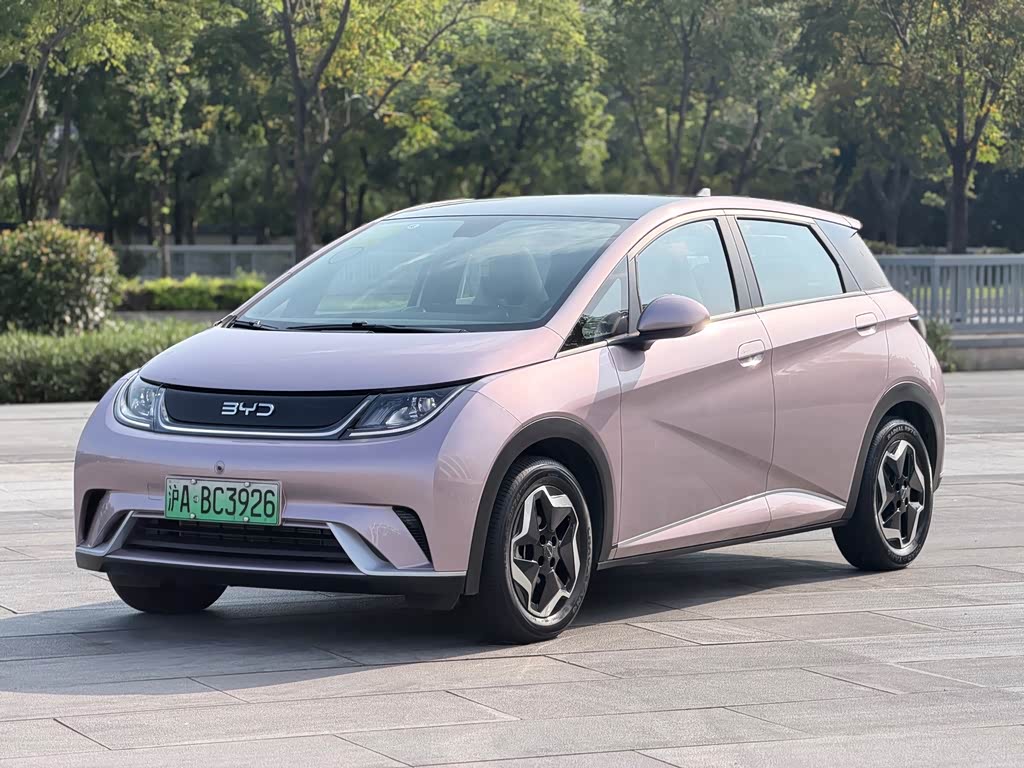 BYD Dolphin
