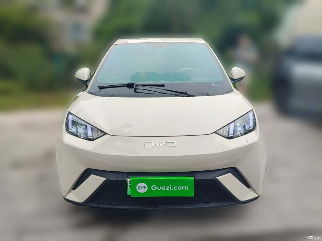 BYD Seagull, 2024 24