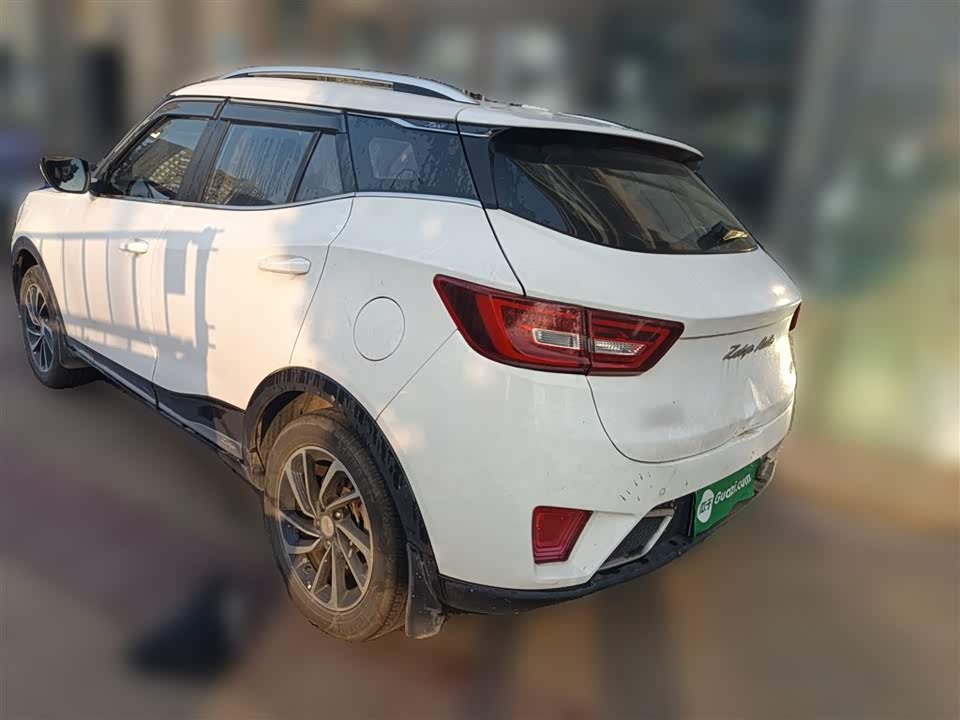 Zotye T300