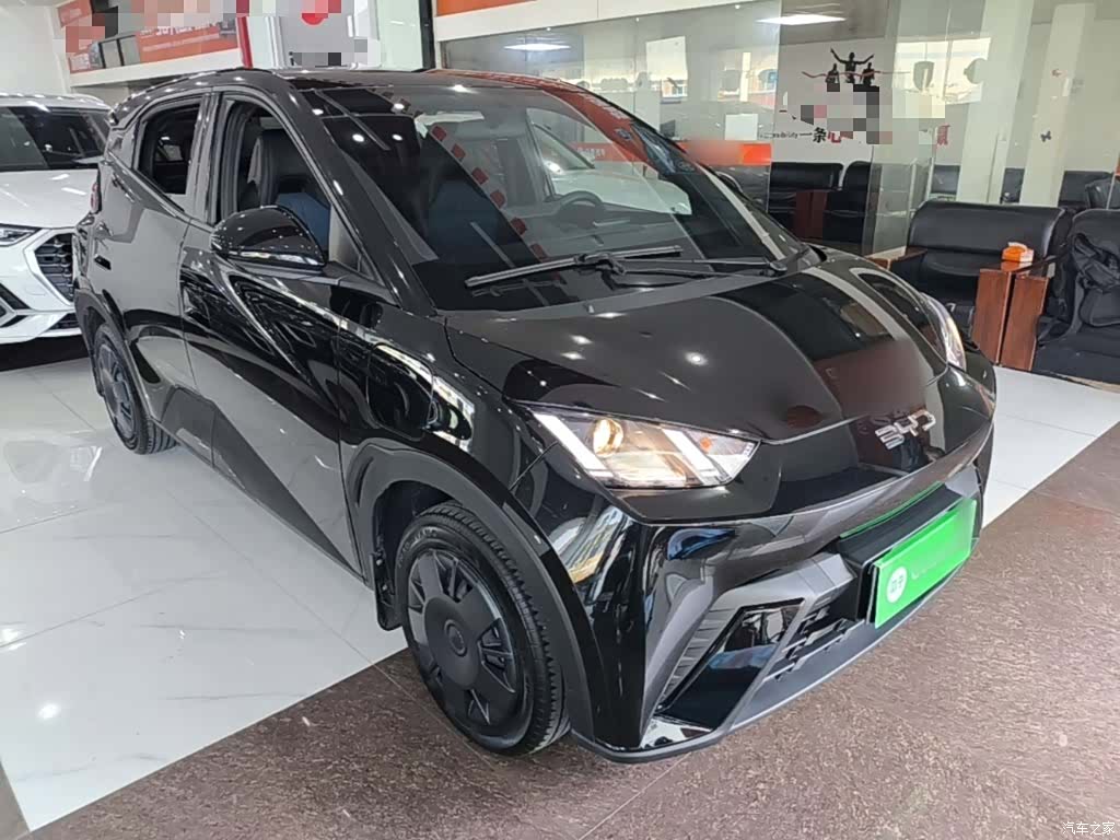BYD Seagull, 2025 22