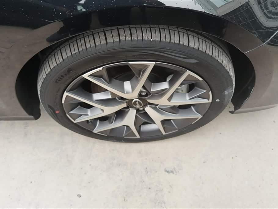 Trumpchi Shadow Leopard