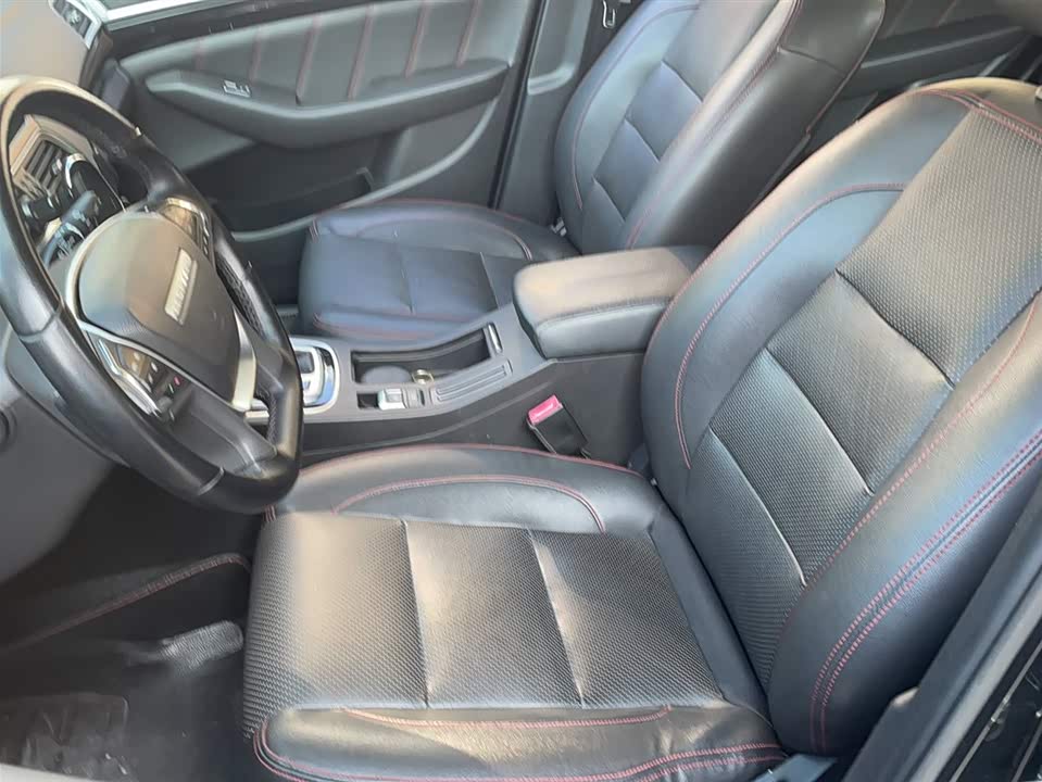 Leopaard Cheetah CS10