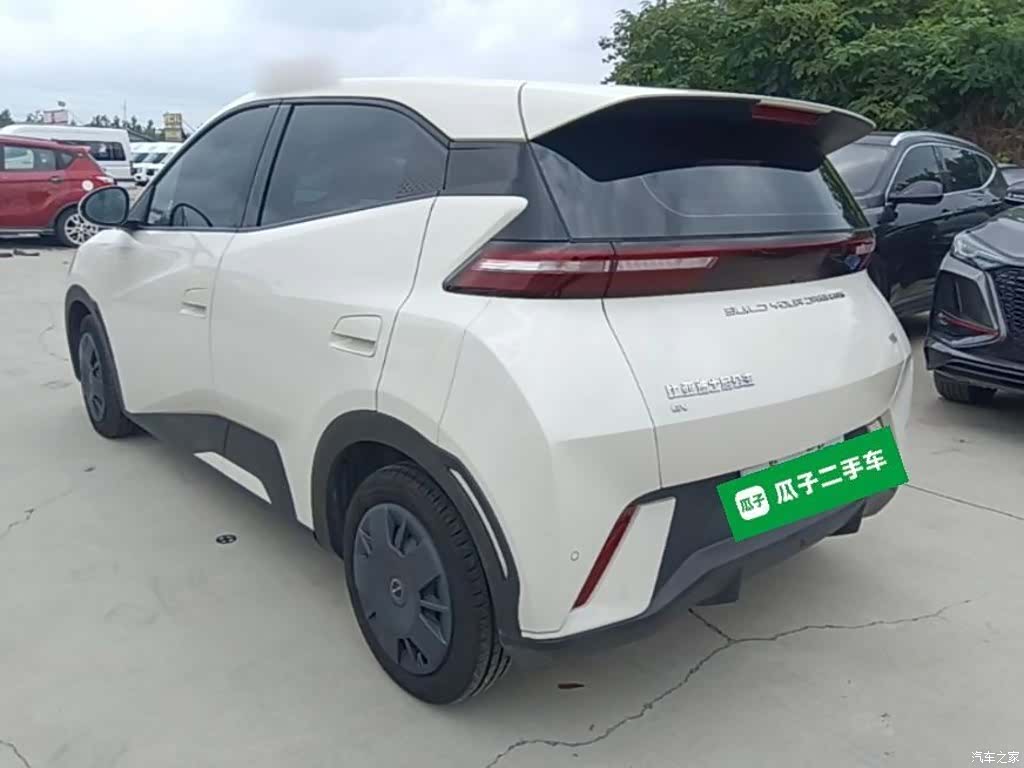 BYD Seagull, 2024 все фото