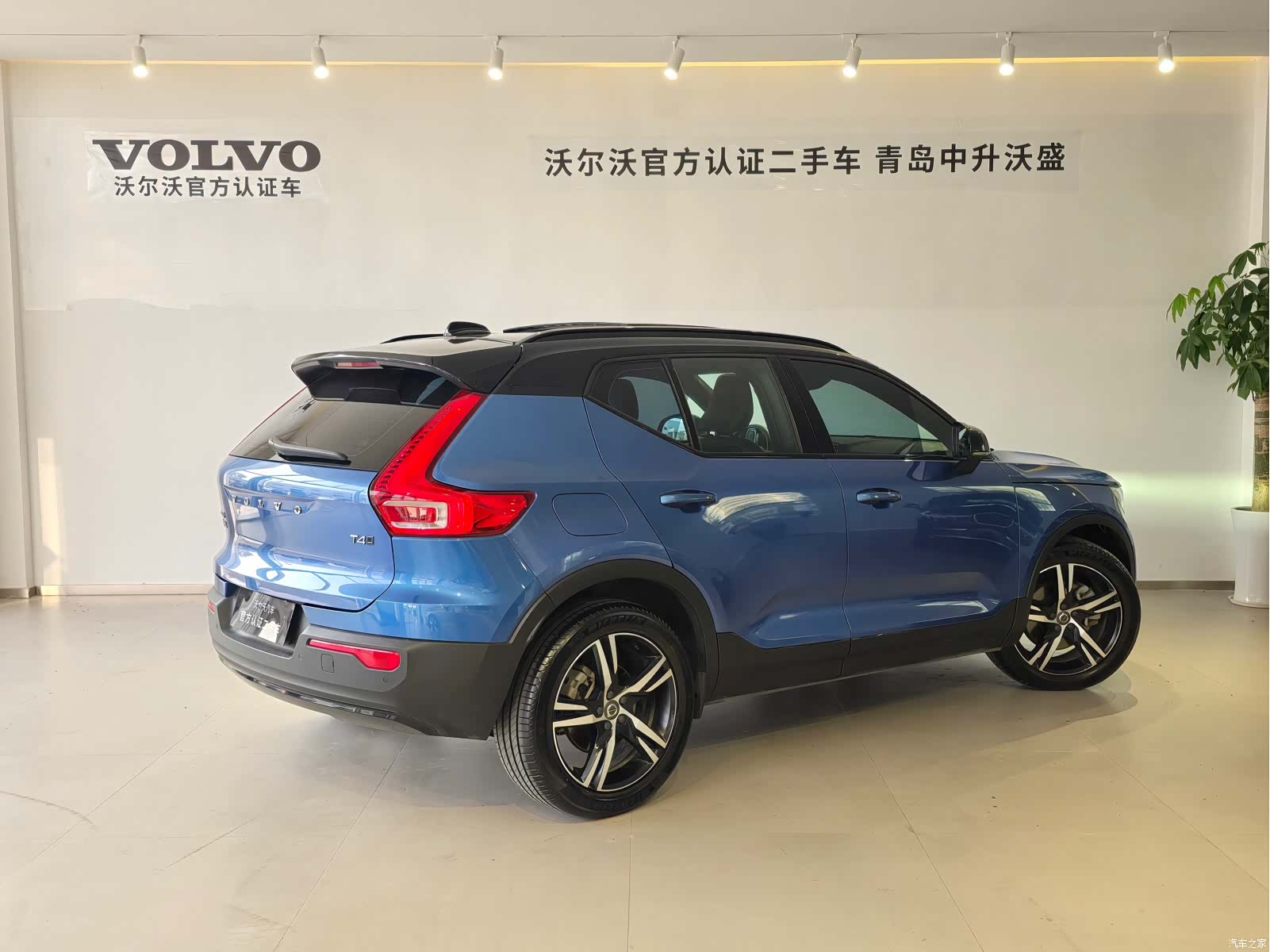Volvo XC40, 2020 все фото