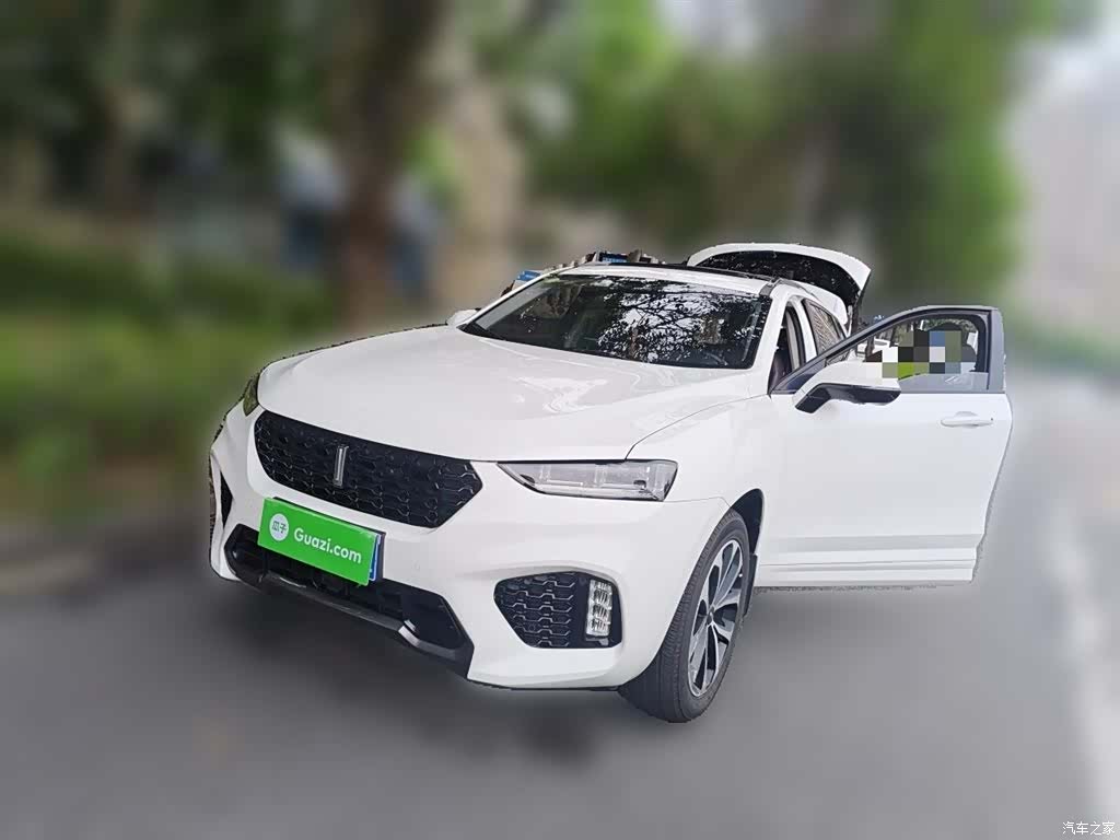 WEY VV7, 2018 1