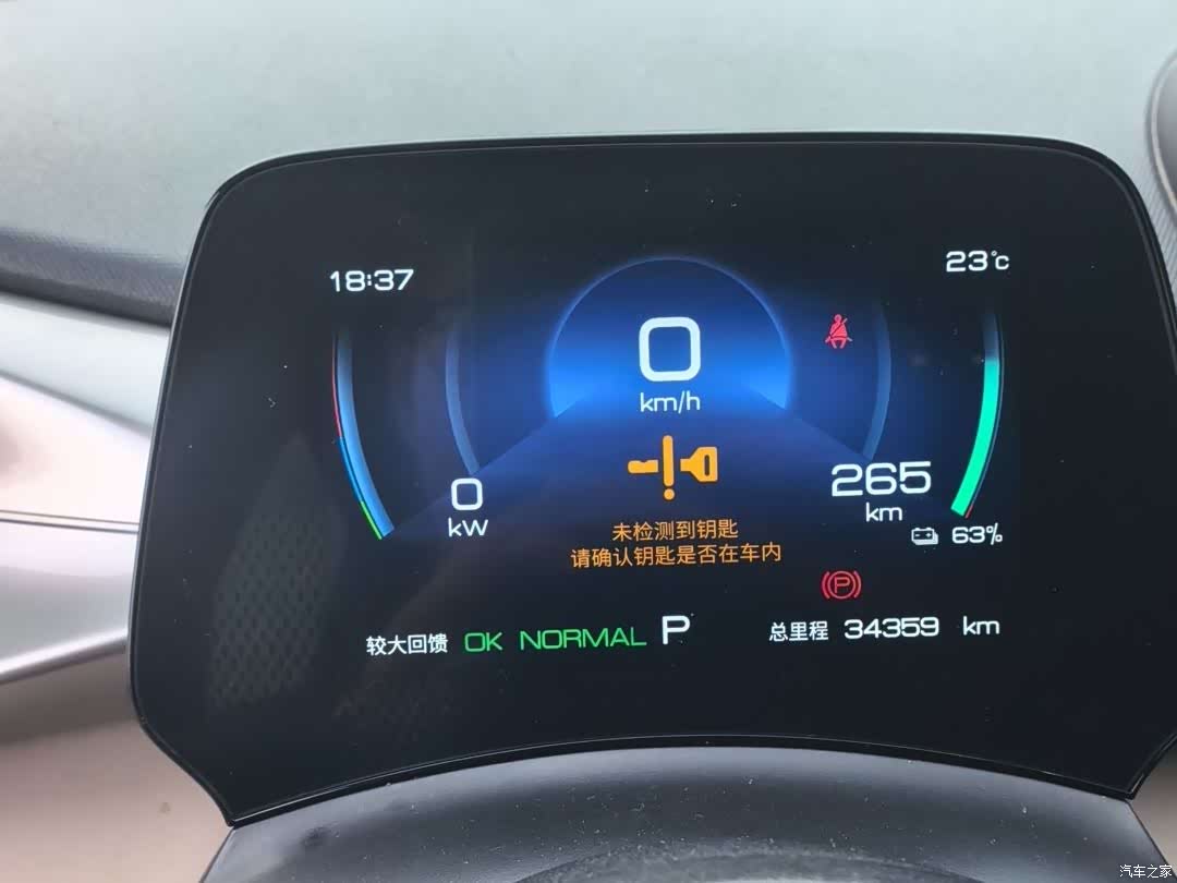 BYD Dolphin, 2024 12