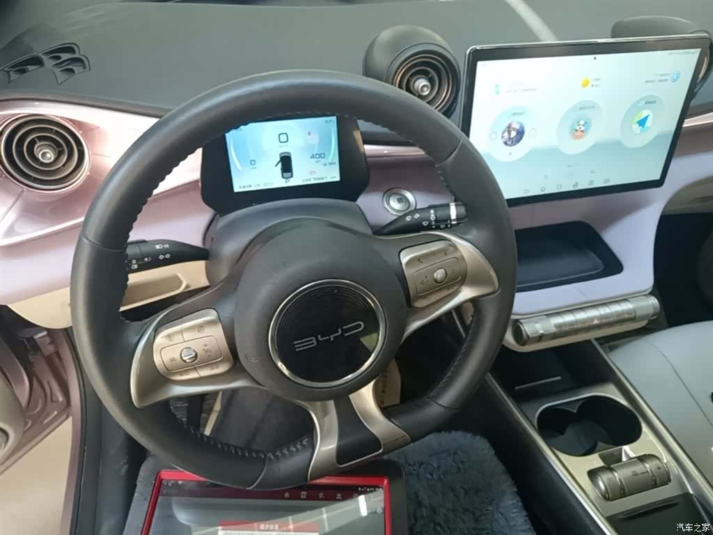 BYD Dolphin, 2022 11