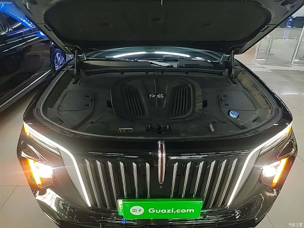 Hongqi E-HS9, 2023 20