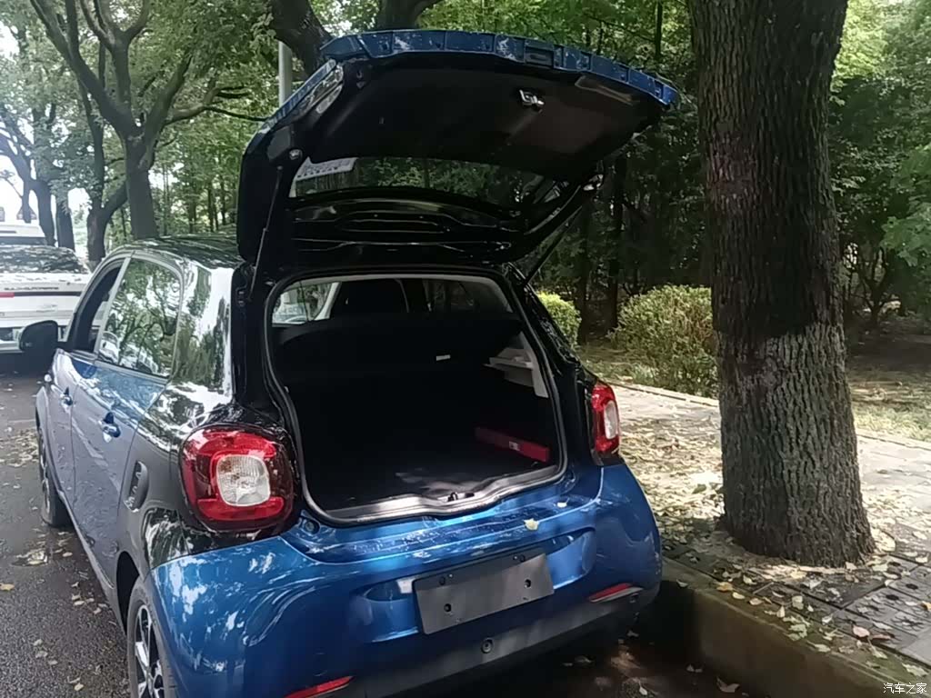 Smart Forfour, 2016 19