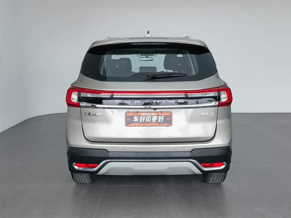 Forthing Popular T5 Forthing Popular T5