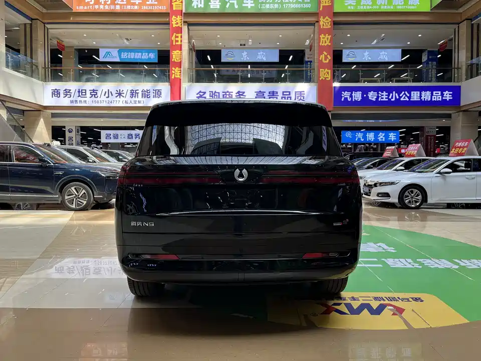 Denza N9