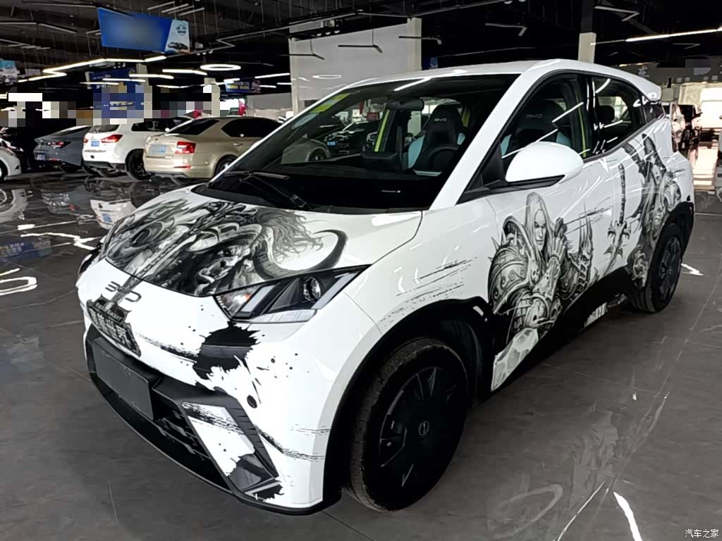 BYD Seagull, 2023 2