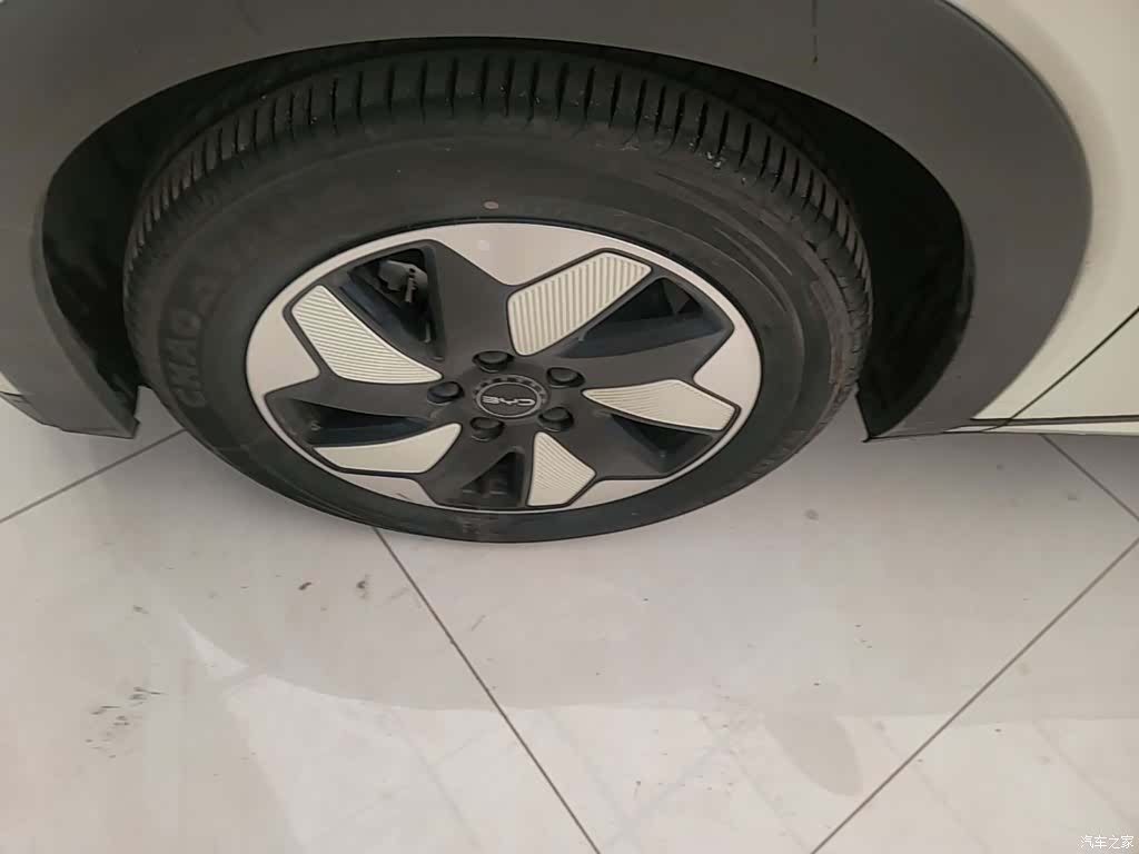 BYD Dolphin, 2024 23