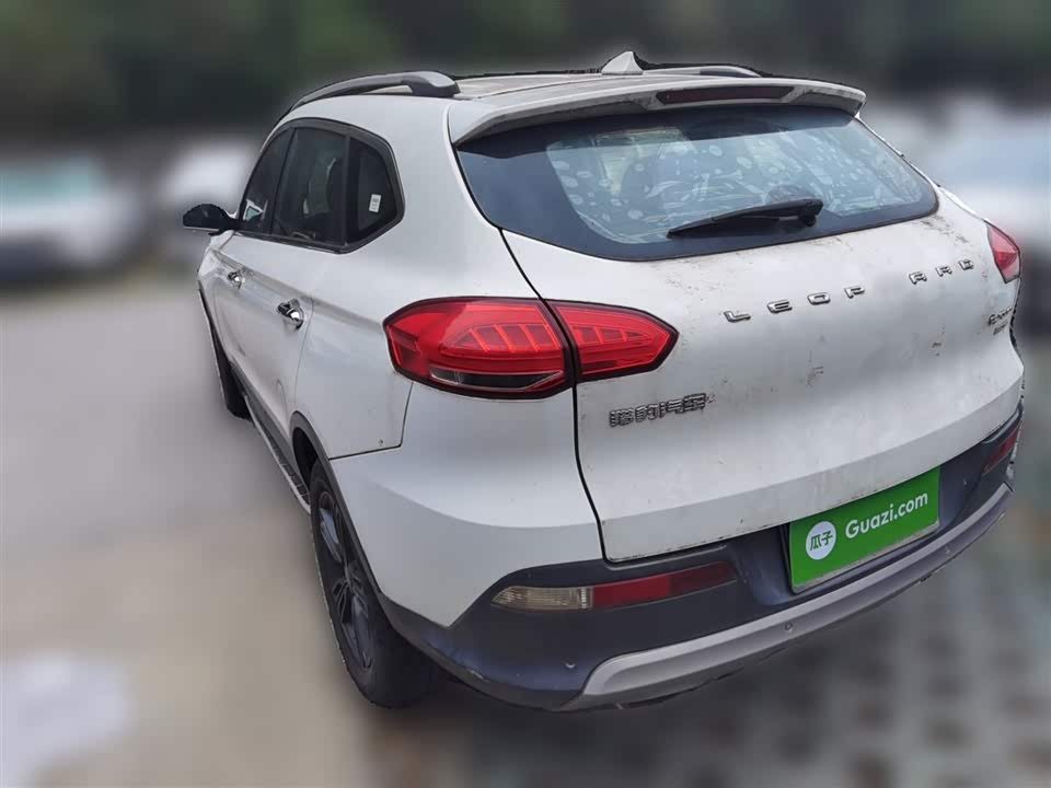 Leopaard Cheetah CS10