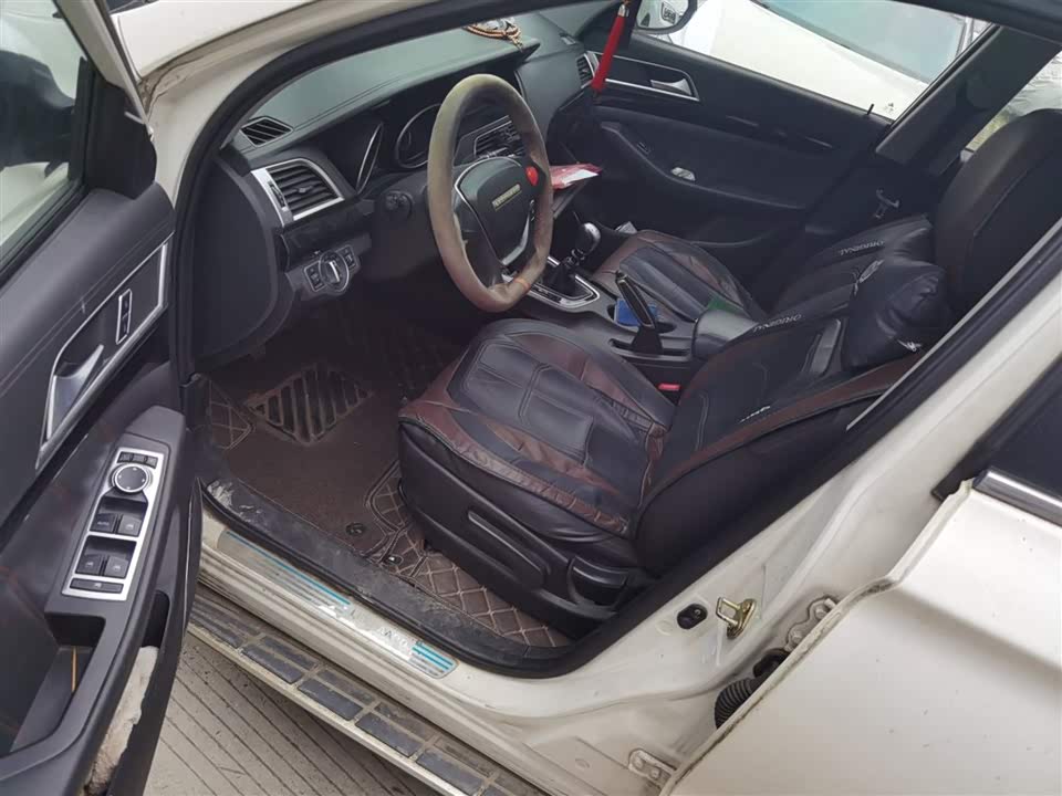 Leopaard Cheetah CS10