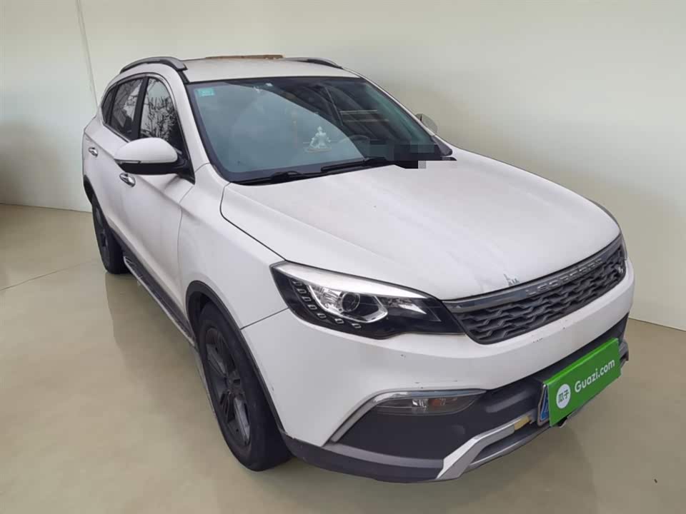 Leopaard Cheetah CS10