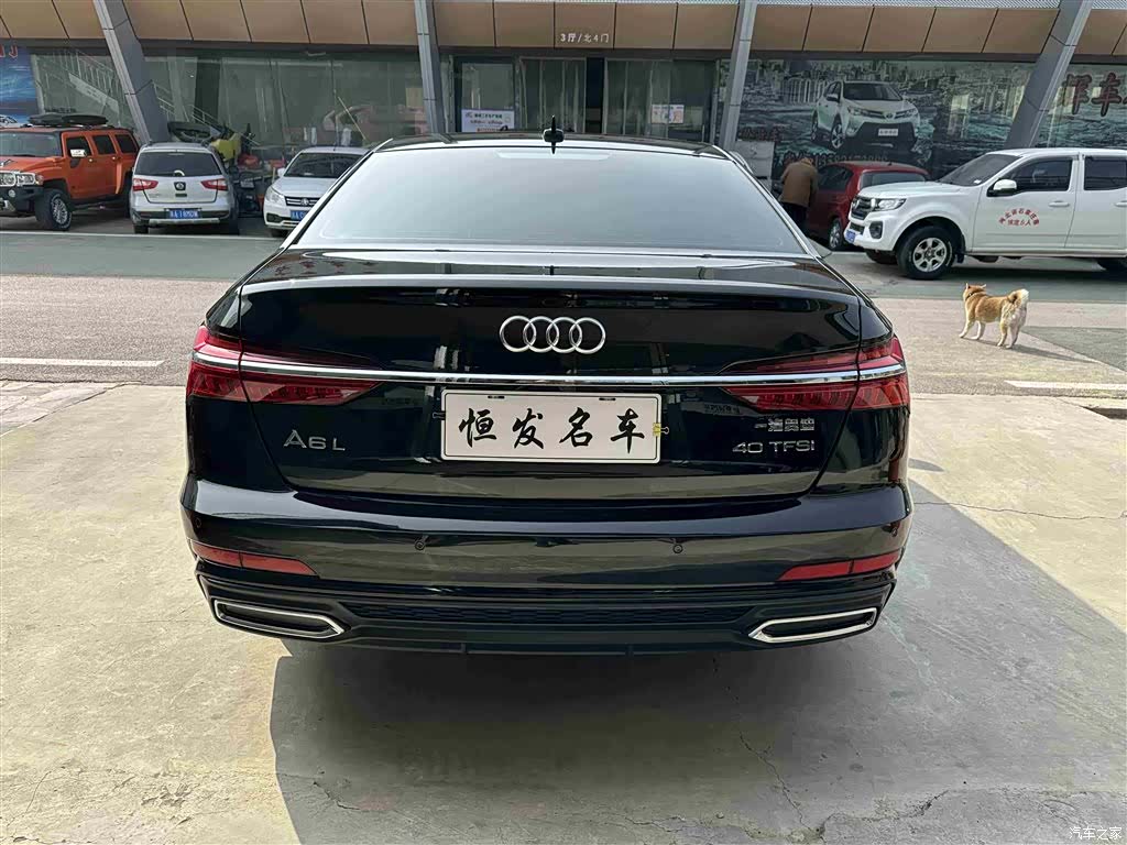 Audi A6L, 2021 13