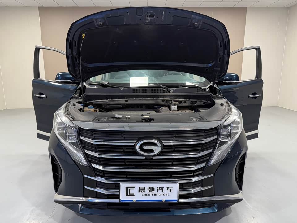 Trumpchi Trumpchi M8
