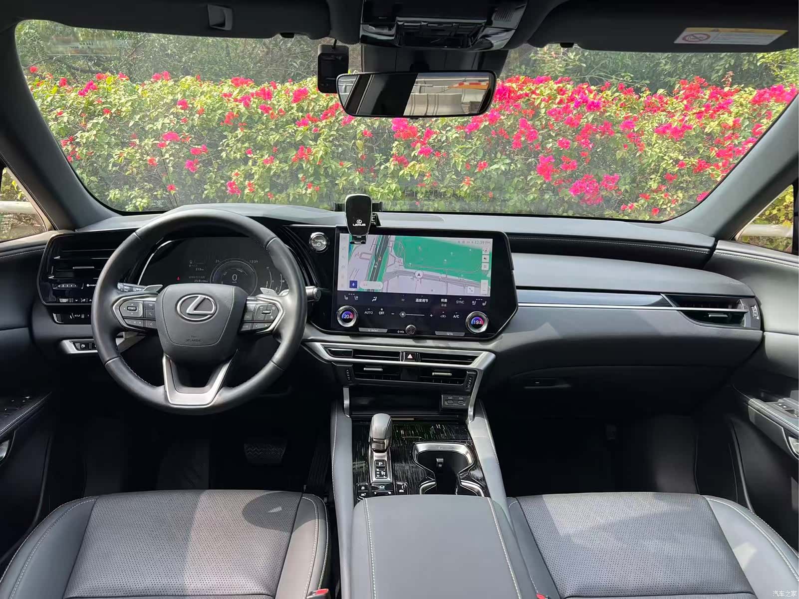 Lexus RX, 2023 все фото