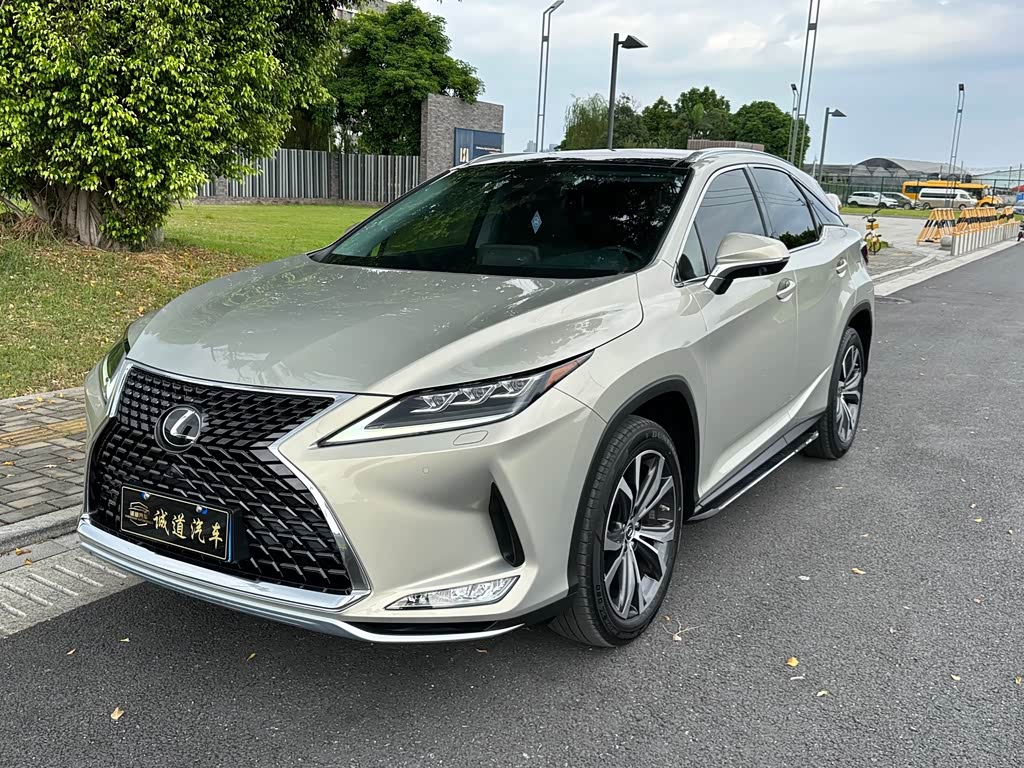 Lexus RX 2020 300 Elegant VI