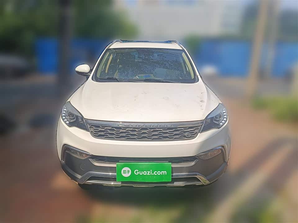 Leopaard Cheetah CS10