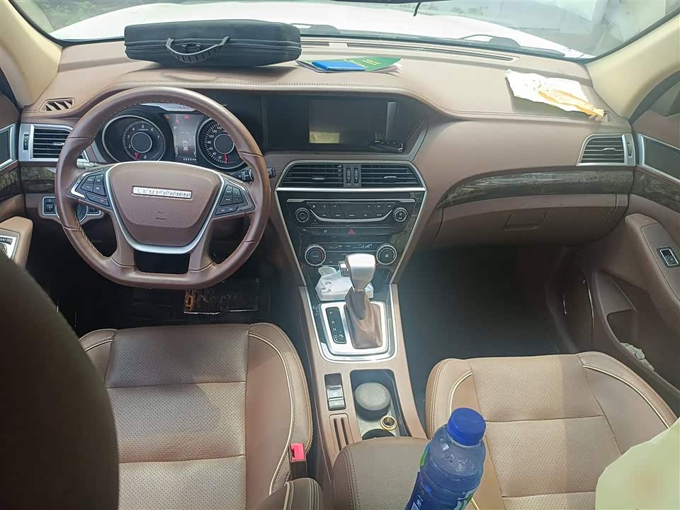 Leopaard Cheetah CS10