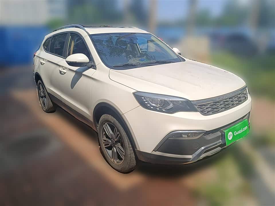 Leopaard Cheetah CS10