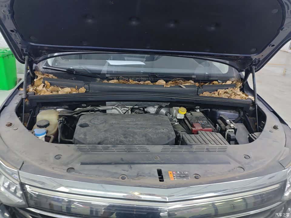 Roewe iMAX8, 2023 9
