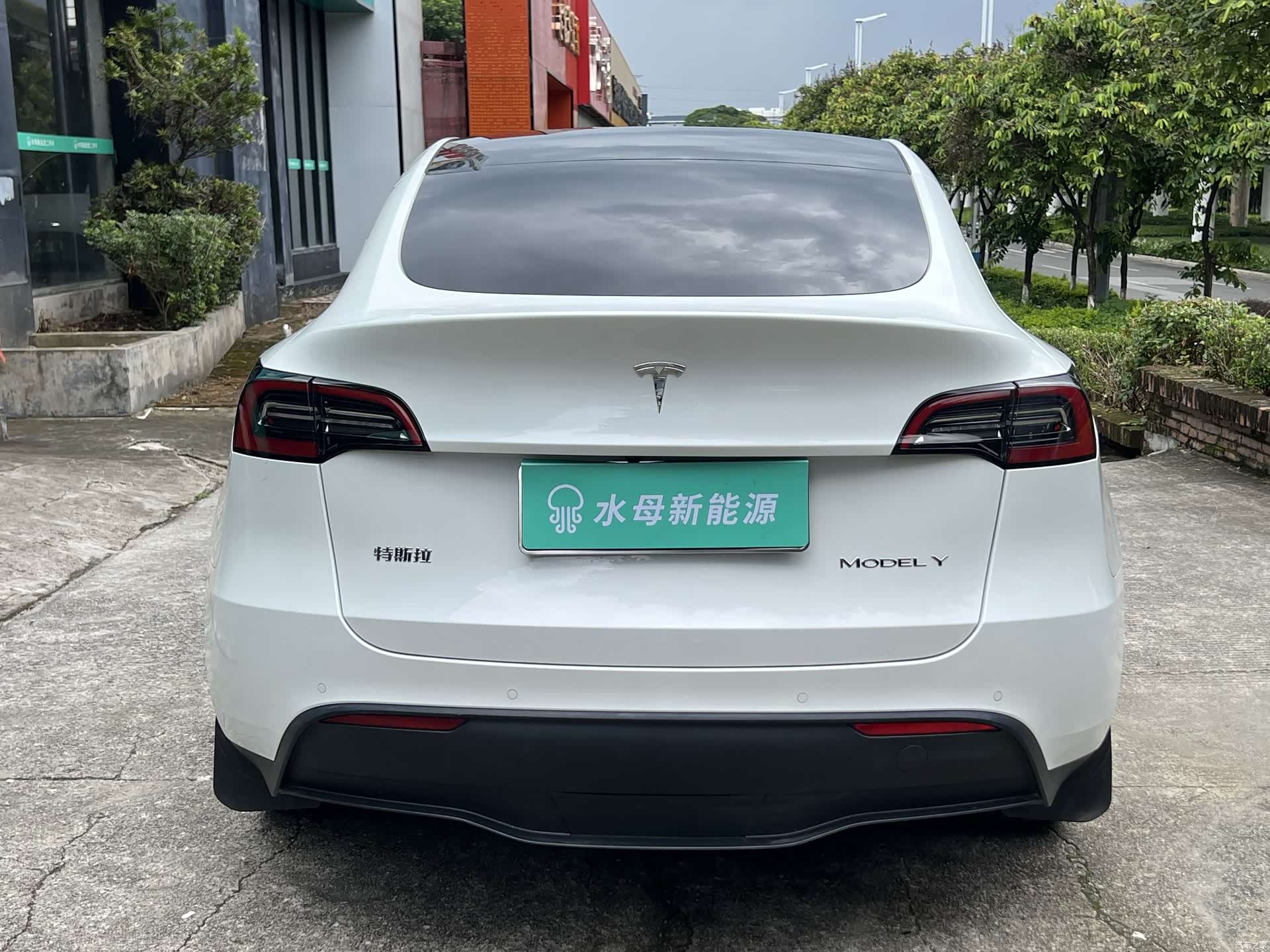 Tesla Model Y, 2023 все фото