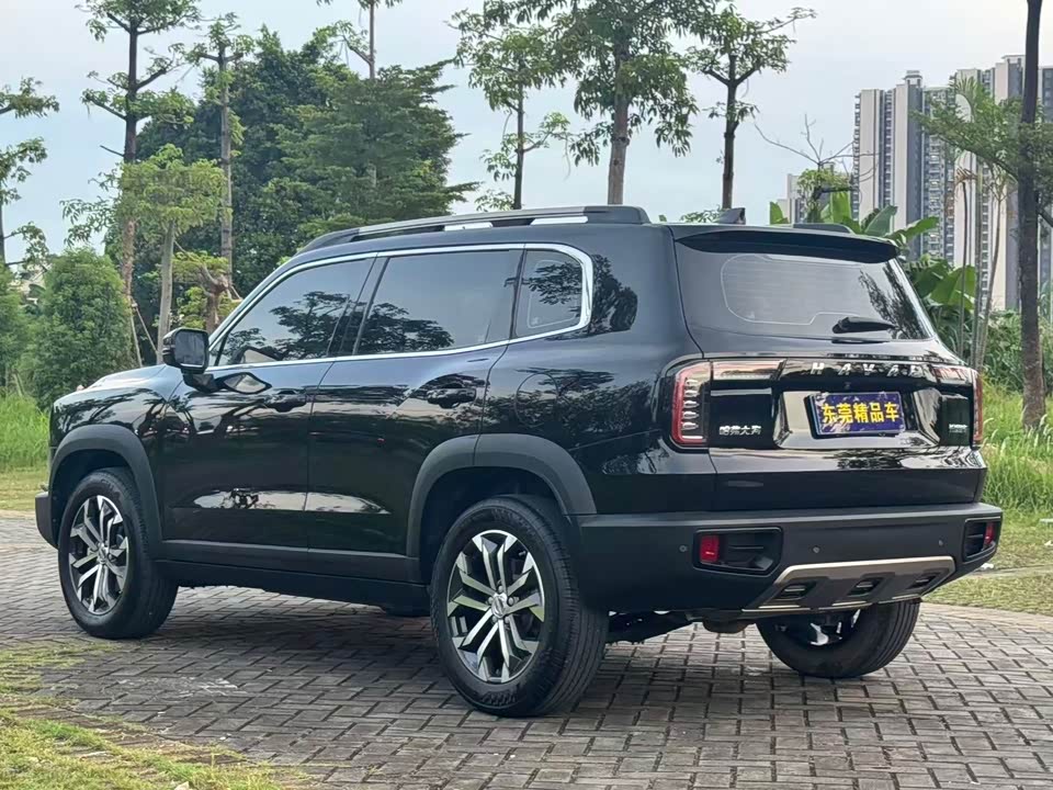 Haval Big dog