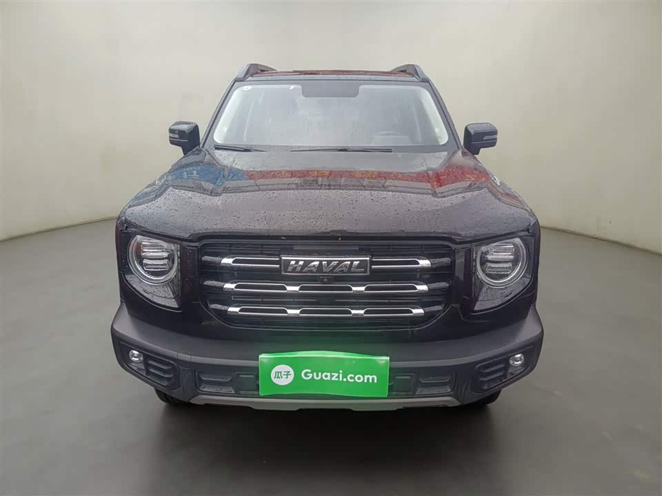 Haval Big dog