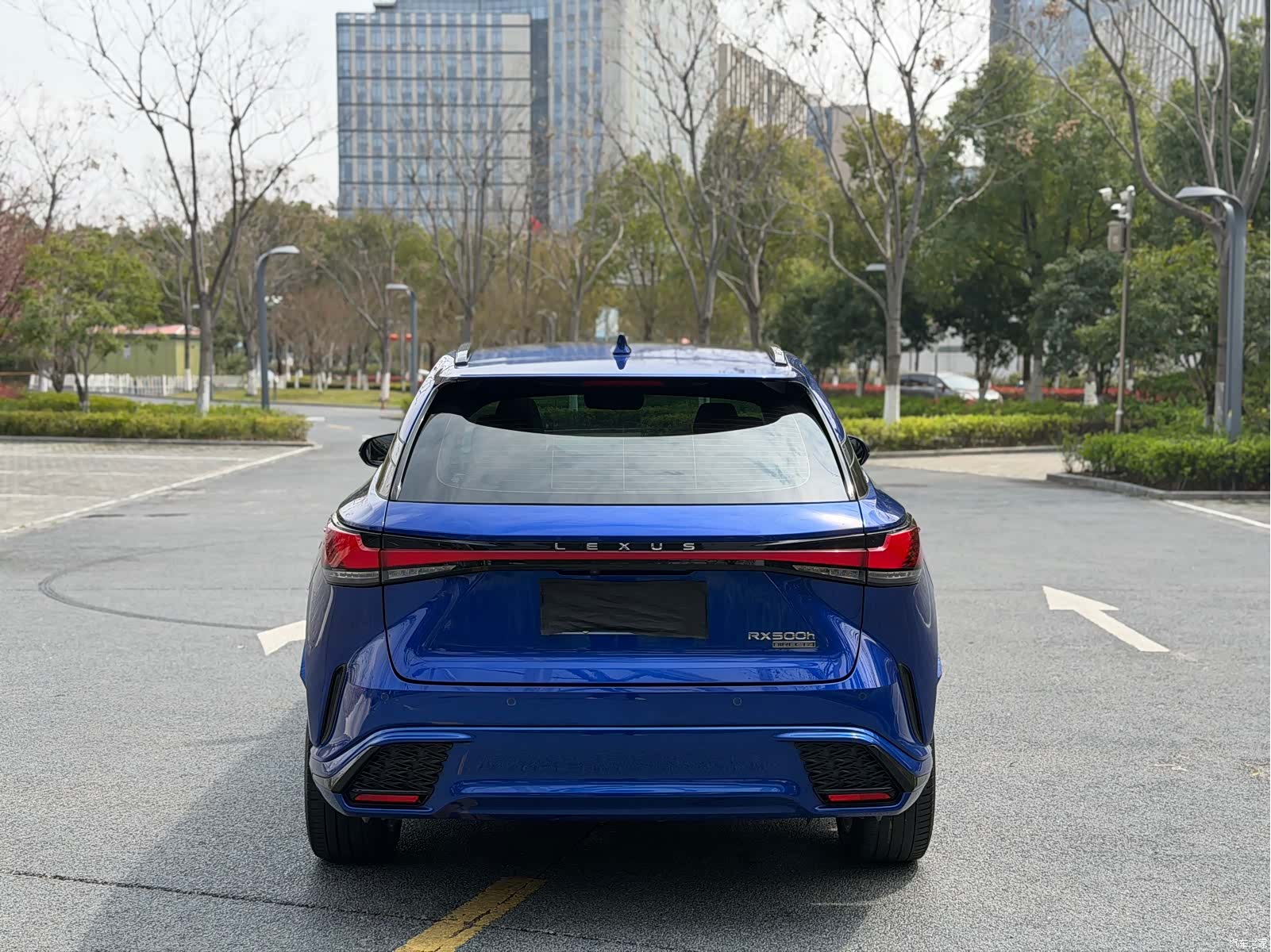 Lexus RX, 2023 14