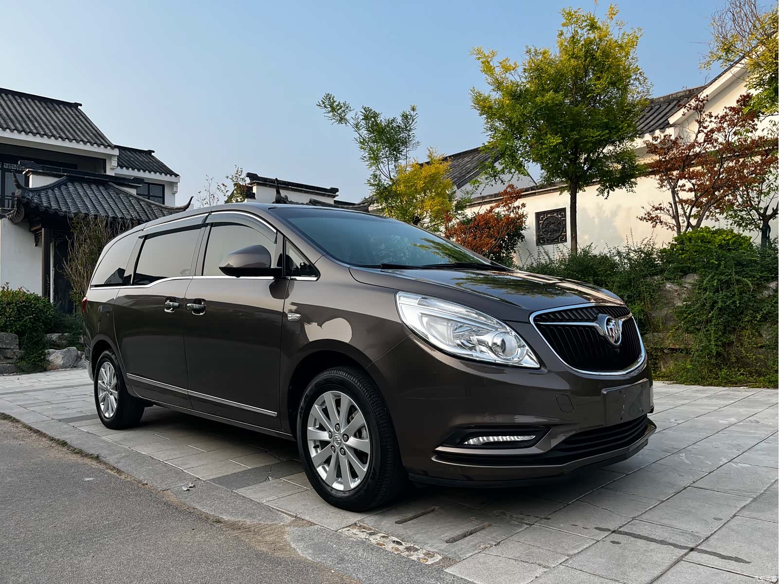 Buick GL8, 2017 3