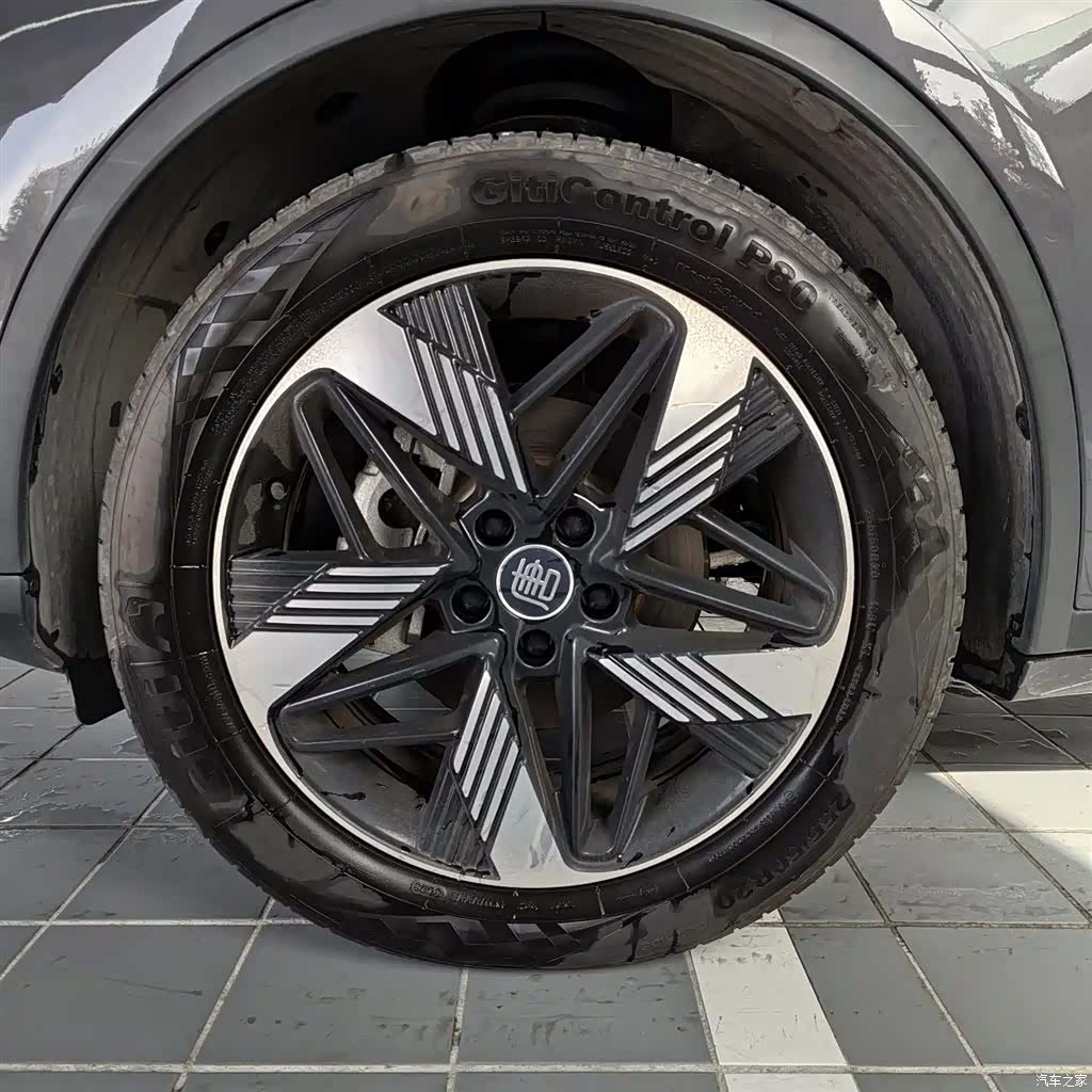 BYD Tang, 2025 19