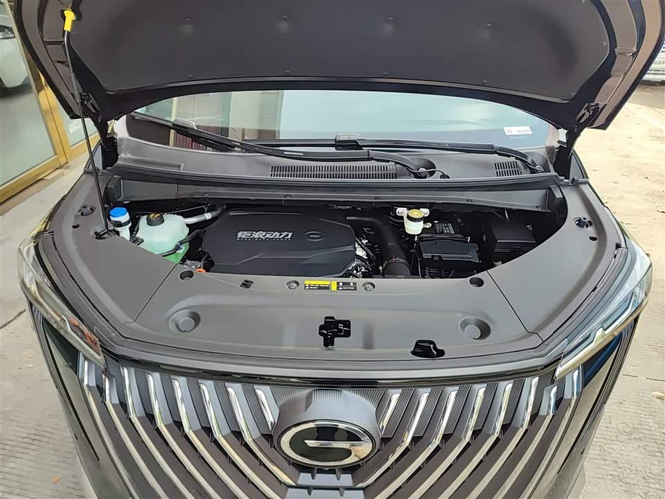 Trumpchi Trumpchi M8 Trumpchi Trumpchi M8